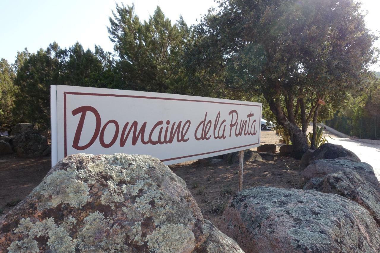 维琪奥港Domaine De La Punta别墅 外观 照片