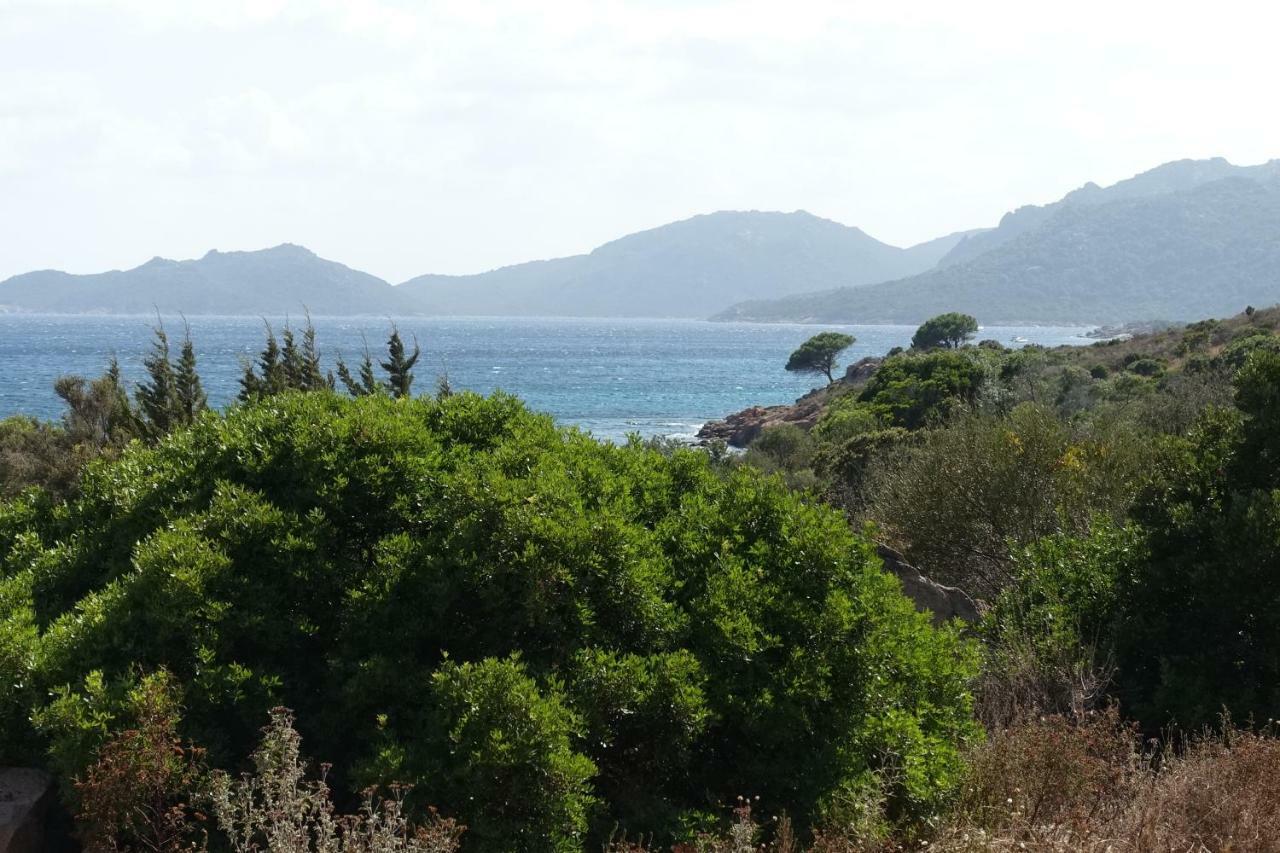 维琪奥港Domaine De La Punta别墅 外观 照片